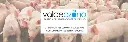 valdeozono_tratamiento.webp