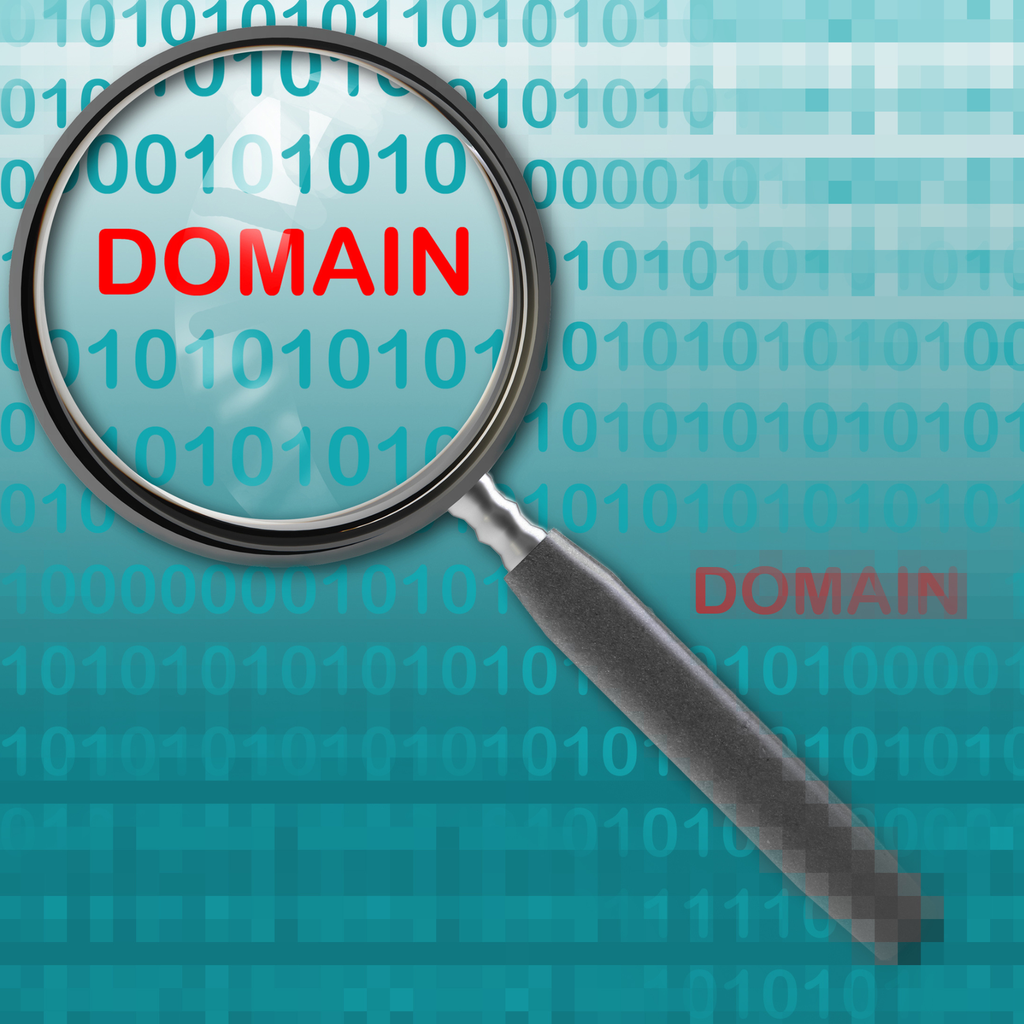 Dominio adicional (anual)